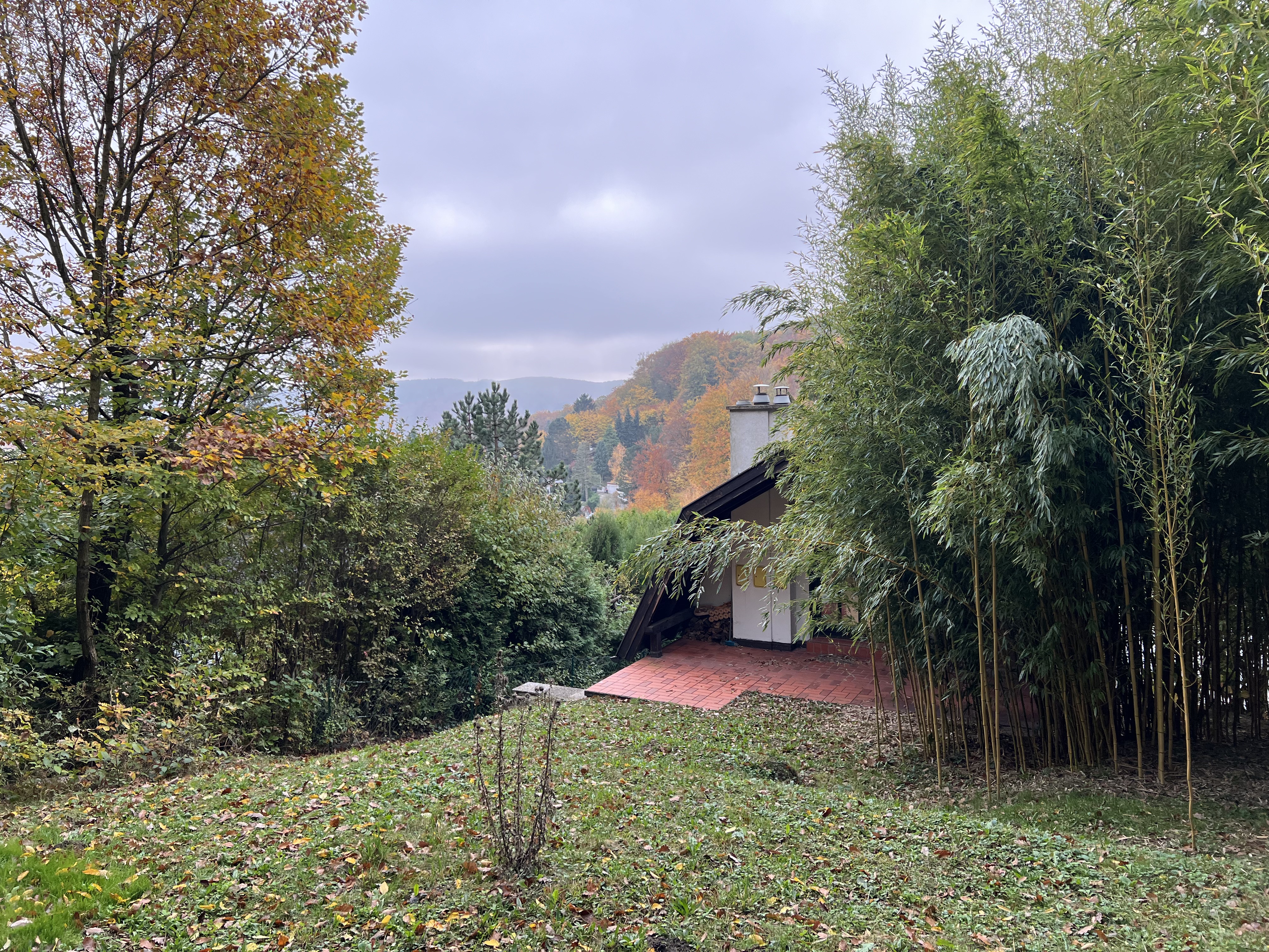 Exterior and garden view 3